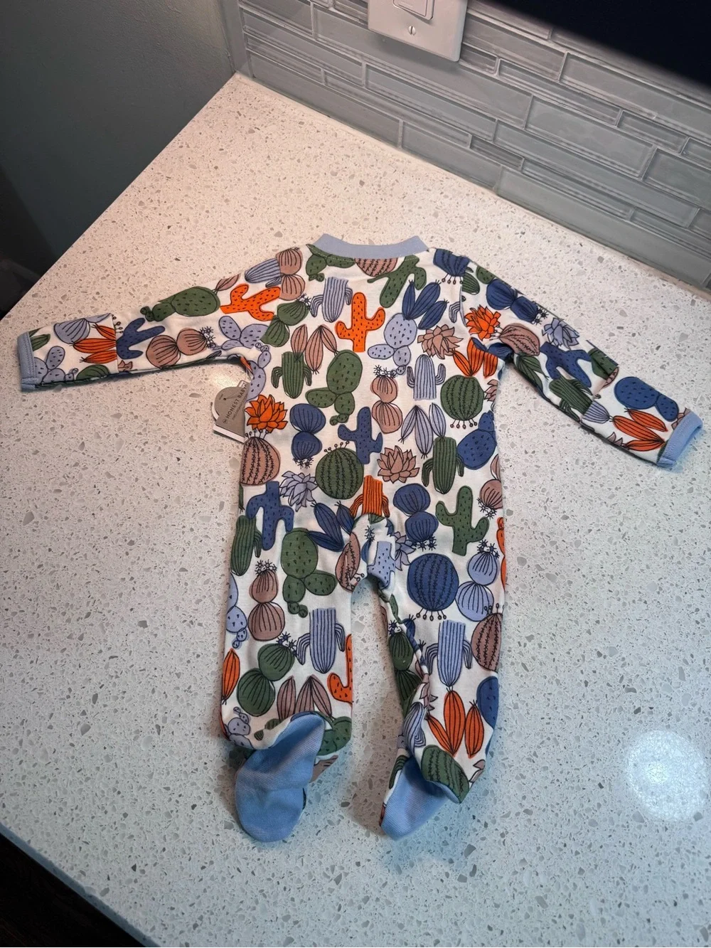 The Honest Baby Blue Cactus Print Footed One-Piece Size Newborn